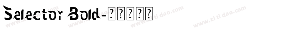 Selector Bold字体转换